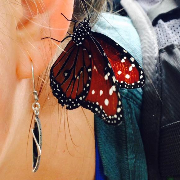 Meet your Posher, Briana - Picture 1 of 1